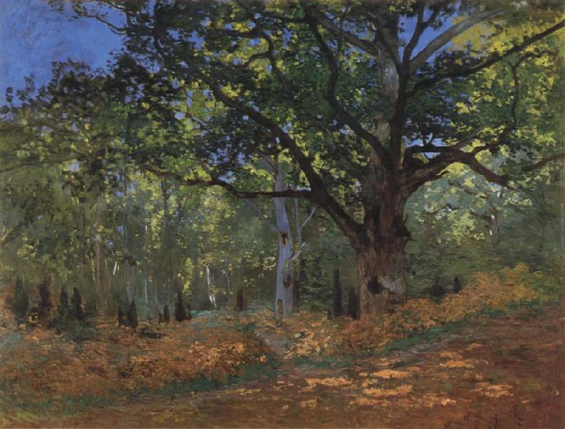 Claude Monet The Bodmer Oak,Forest of Fontainebleau
